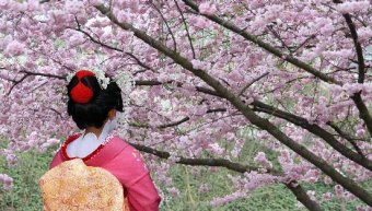 Japanese inspired formulas