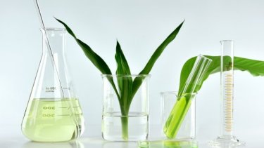 sustainable cosmetic ingredient