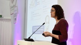 Education and interactive