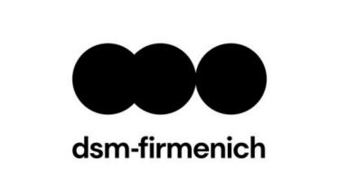 DSM