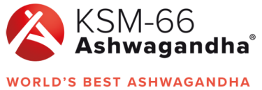 KSM logo